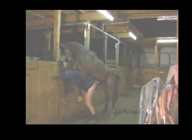 Video :Zoophilia sex in the farm with horse and gay